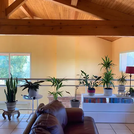 Maison Avec Vue Et Piscine Sainte-Camelle
